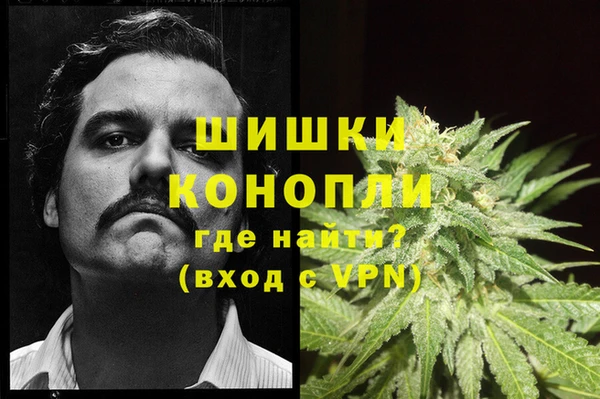 прущая мука Магас