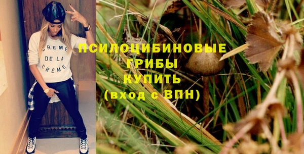 ECSTASY Майский
