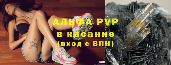 PSILOCYBIN Лагань