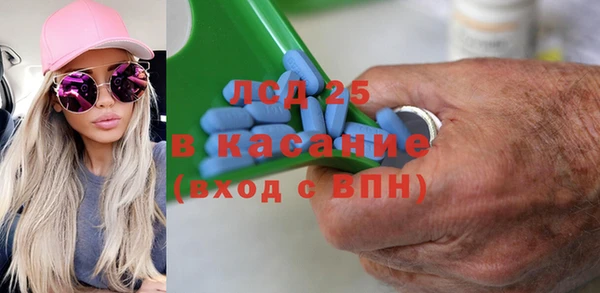гидра Шадринск
