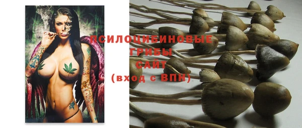 мдпв Ладушкин