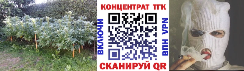 ТГК Wax  Пучеж 