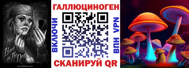 блэк спрут онион  Пучеж  Псилоцибиновые грибы Cubensis 